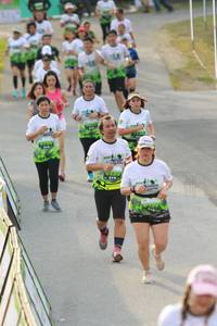 BIB: 
                            <button type="button" onclick="openModal(3536436)" class="btn btn-primary btn-sm float-right btn-popup" data-toggle="modal" data-target=".modal-high-quality">
                        <i class="fas fa-shopping-cart"></i> Add to Cart
                    </button>
                                            <button type="button" onclick="isThisMe(3536436, true)" class="btn btn-success btn-sm float-right btn-popup btn-isme hidden" data-toggle="tooltip" data-placement="bottom" title="นี่คือรูปของคุณใช่ไหม คลิกที่นี่เพื่อเอาเข้าอัลบั้ม">
                        <i class="fas fa-plus"></i> Add to album
                    </button>
                    <button type="button" onclick="isThisMe(3536436, false)" class="btn btn-warning btn-sm float-right btn-popup btn-isnotme hidden">
                        <i class="fas fa-ban"></i> Remove from album
                    </button>